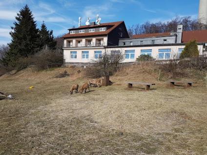 Berggasthof Zum Steira Schotten Exterior photo